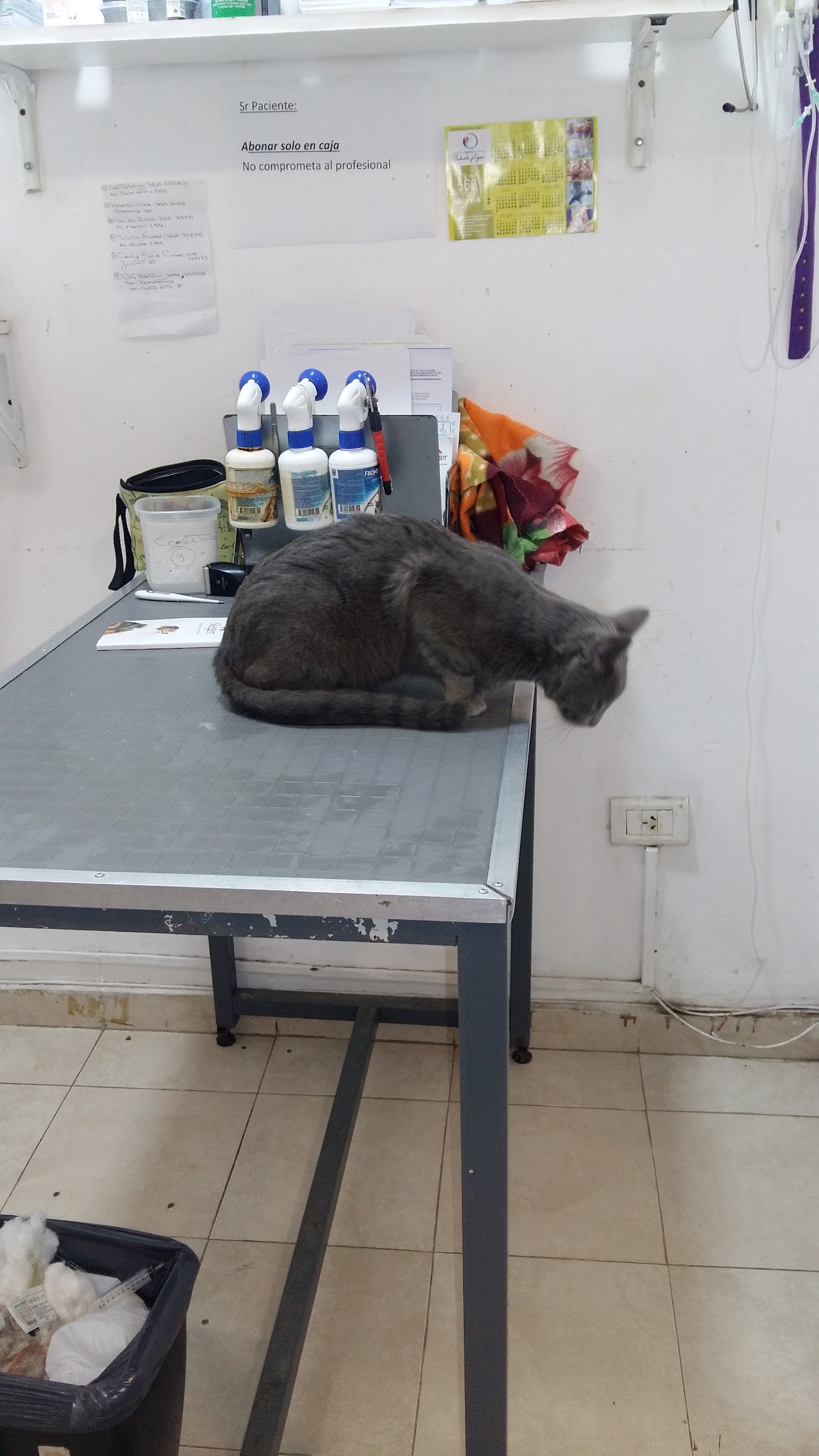 Sala de atención en Mundo Veterinario
